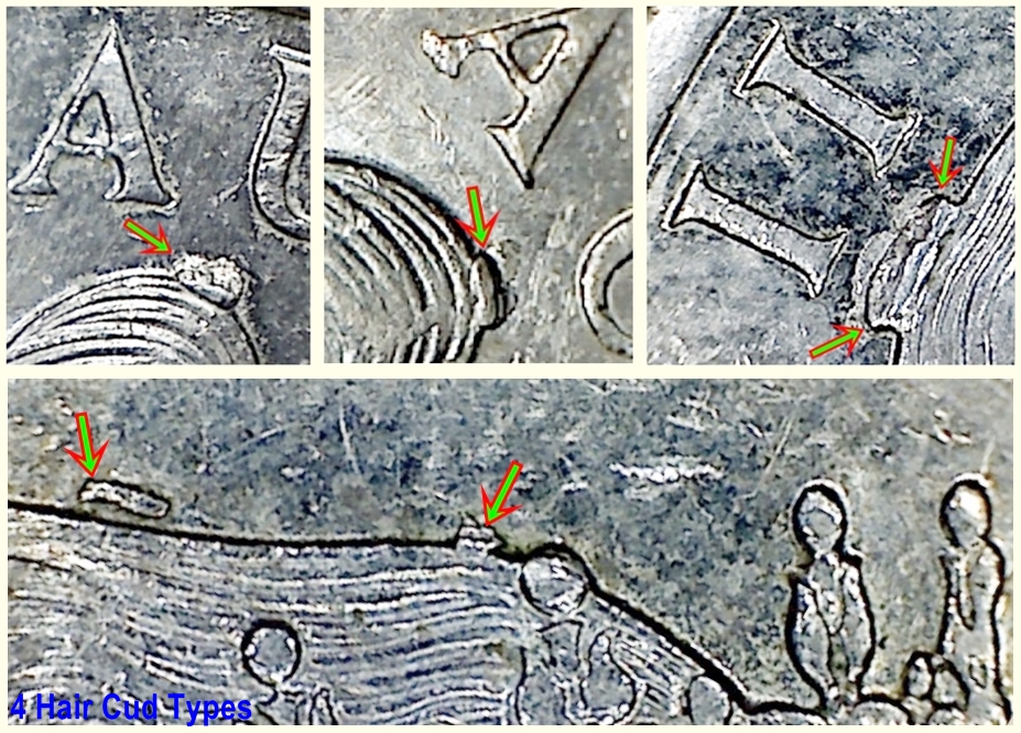 [Image: 20c_1999_c24-252C_4_Hair_Cud_Types_Multi.jpg]