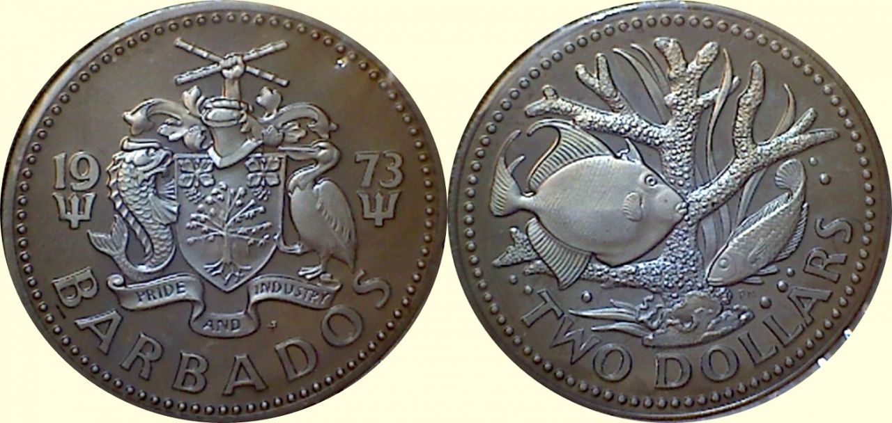 Post-Your-Bird-Coins