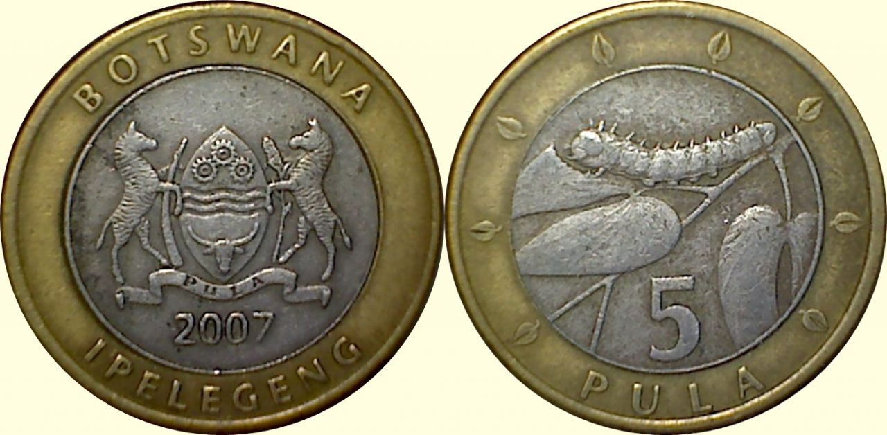Post-Your-Coins-With-Horses