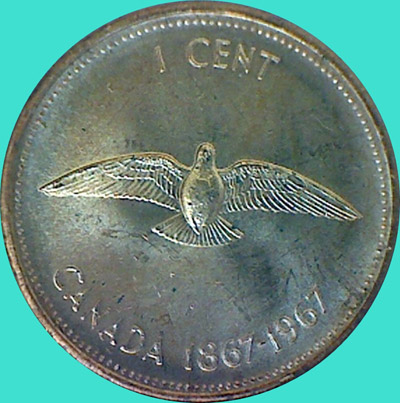 Post-Your-Bird-Coins