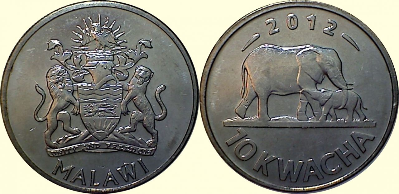 Post-Your-Bird-Coins