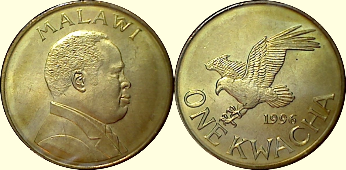 What's-Your-Favorite-Eagle?