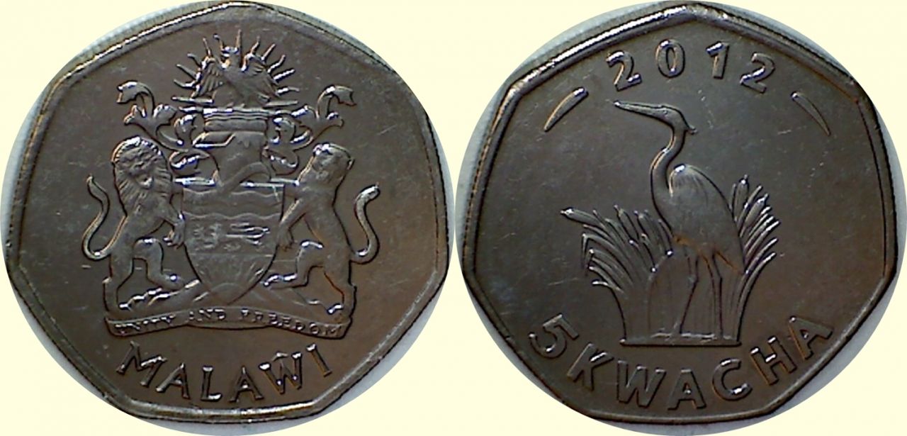 Post-Your-Bird-Coins