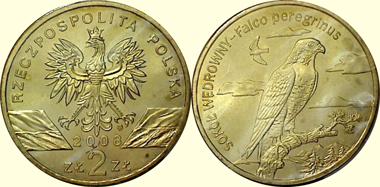 What's-Your-Favorite-Eagle?
