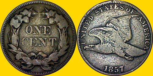 Post-Your-Bird-Coins