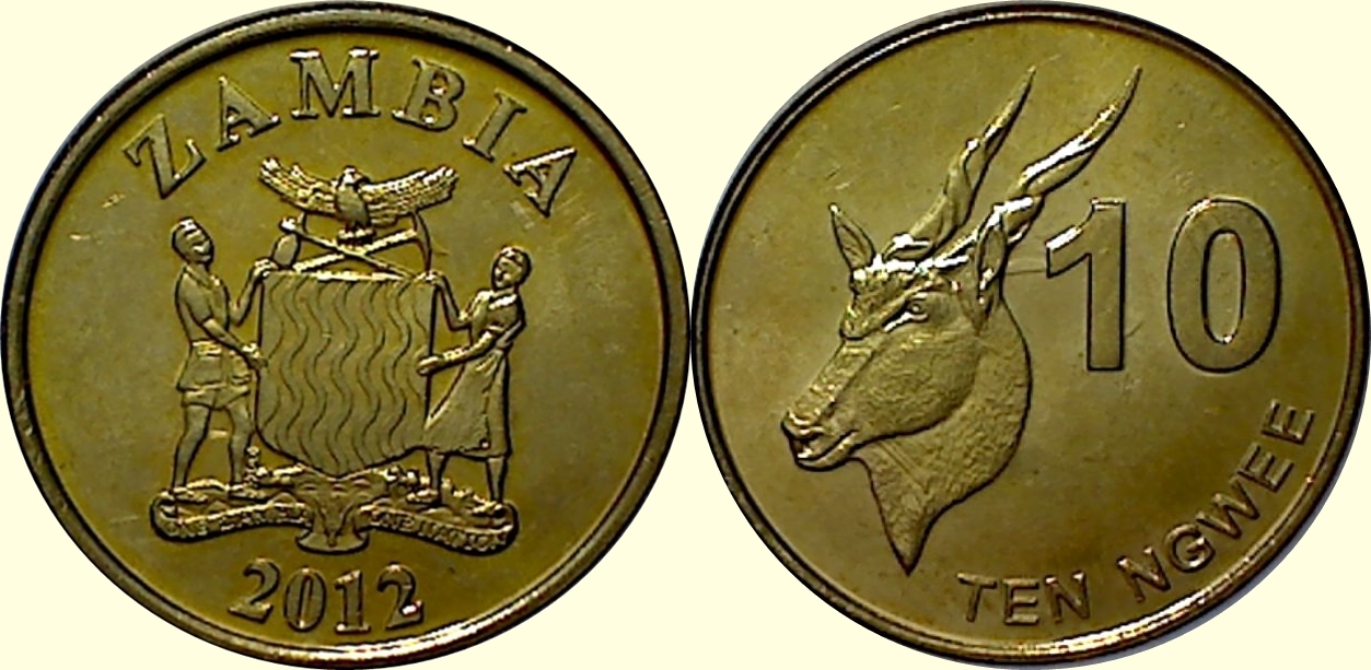 Post-Your-Bird-Coins