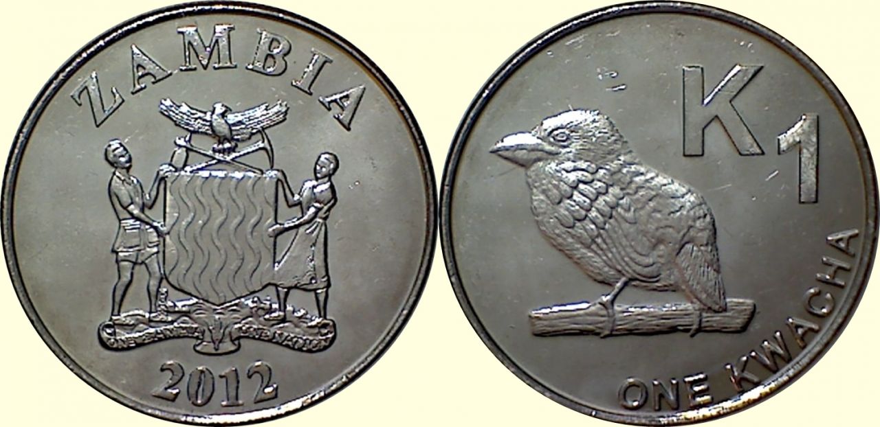Post-Your-Bird-Coins