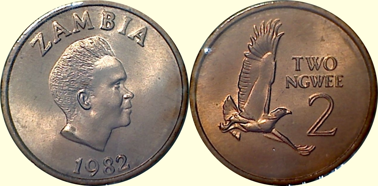 What's-Your-Favorite-Eagle?