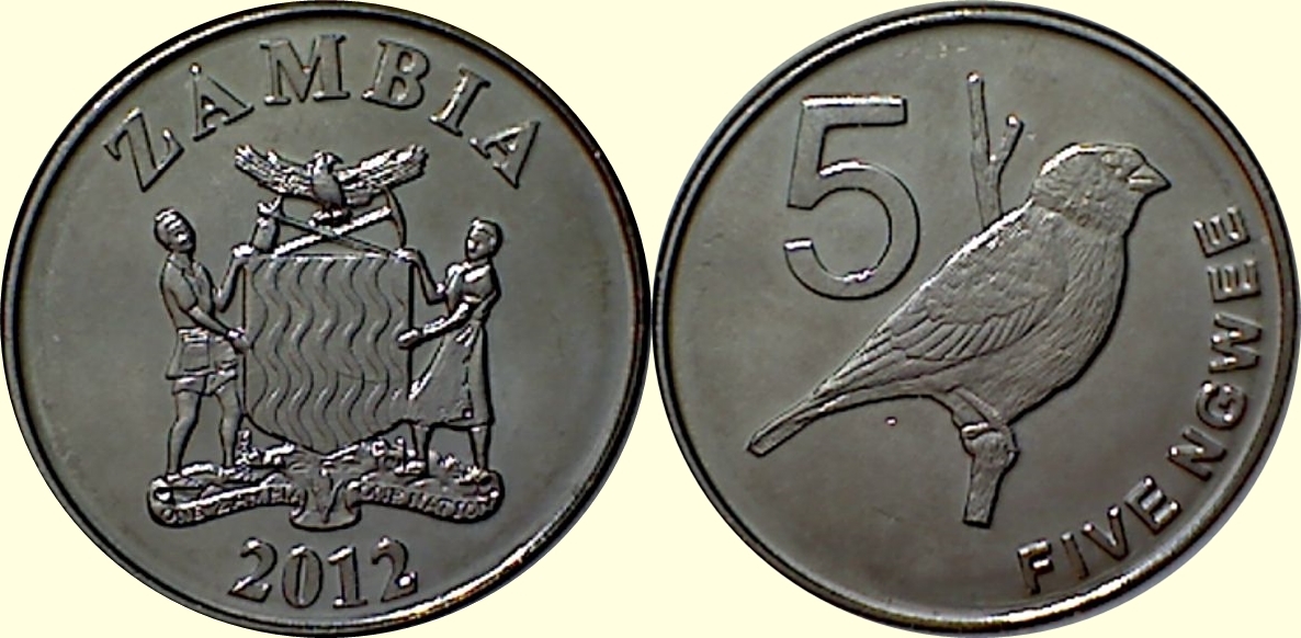 Post-Your-Bird-Coins