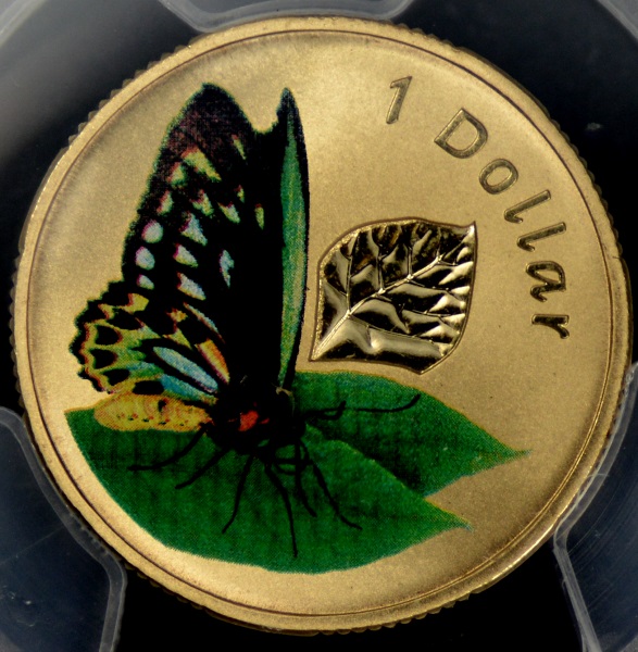 [Image: 2011_butterfly.jpg]