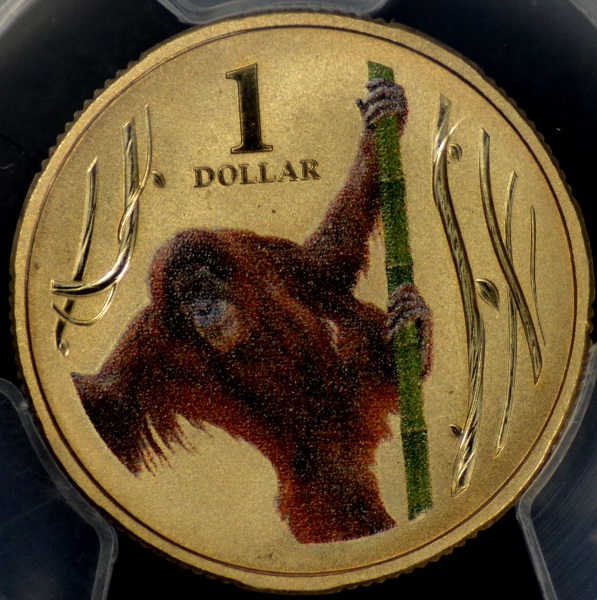[Image: 2012_orangutan.jpg]