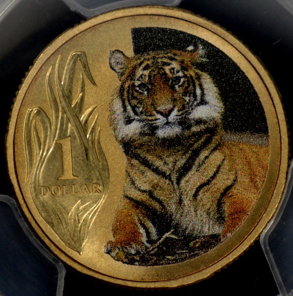 [Image: 2012_tiger.jpg]