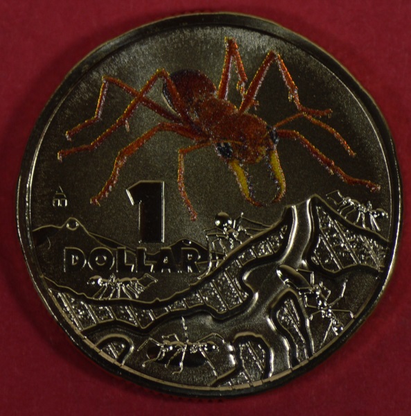 [Image: 2014_bull_ant1.jpg]