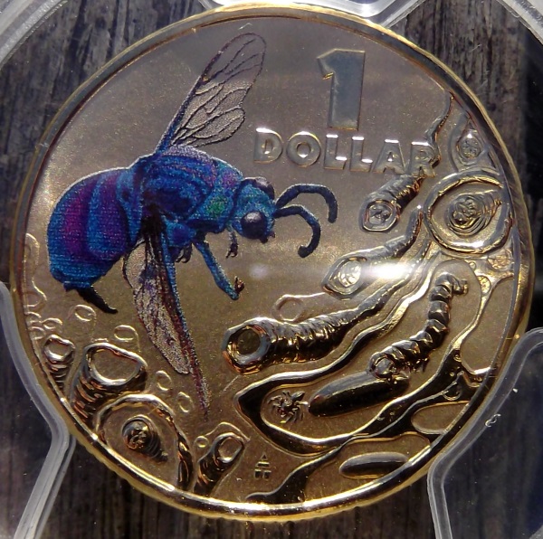 Popularity-Of-Colour-Coins?