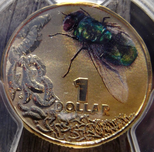 Popularity-Of-Colour-Coins?