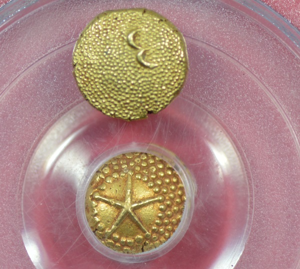 Proclomation-Coins