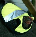 high-vis-chicken.jpg