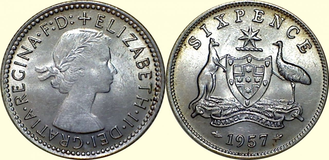 Post-Your-Bird-Coins