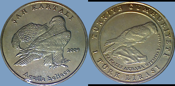 Post-Your-Bird-Coins