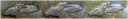 Filename=_1_2000_1-3_Rabbit.jpg
Filesize=55KiB
Dimensions=1280x195
Date added=May 04, 2014 _1_2000_1-3_Rabbit.jpg