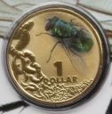 blowfly_coin.jpg