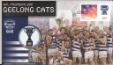 2011_Cats_Premiers_Front.jpg