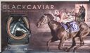 2013_Black_Caviar_Front.jpg