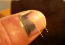 Filename=thumb.jpg
Filesize=33KiB
Dimensions=763x531
Date added=Jan 15, 2016 thumb.jpg
