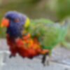 avatar_1802
